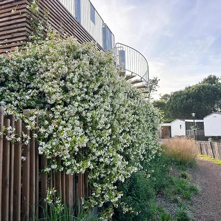Cap Ferret Les Viviers 2ch, Terrasse, Proche Ocean Appartement