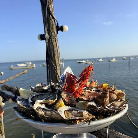 Cap Ferret Les Viviers 2ch, Terrasse, Proche Ocean * Lège-Cap-Ferret